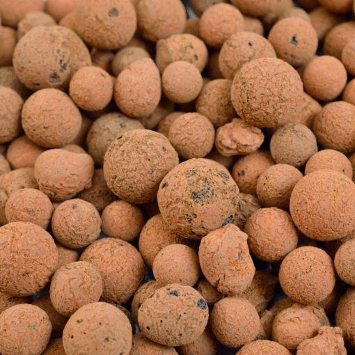 Expanded Clay