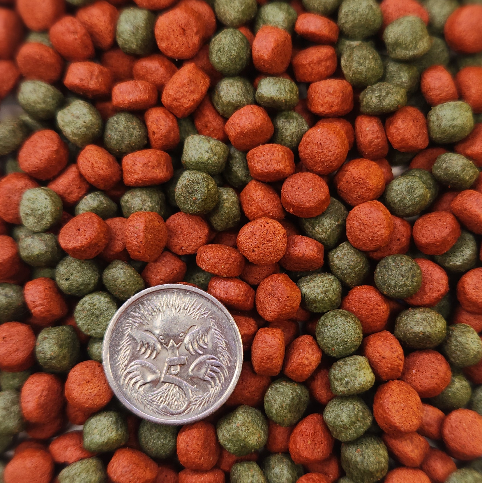 Large 6mm Standard Pellets (Griplock Bag)