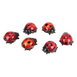 Ladybug Marble Look