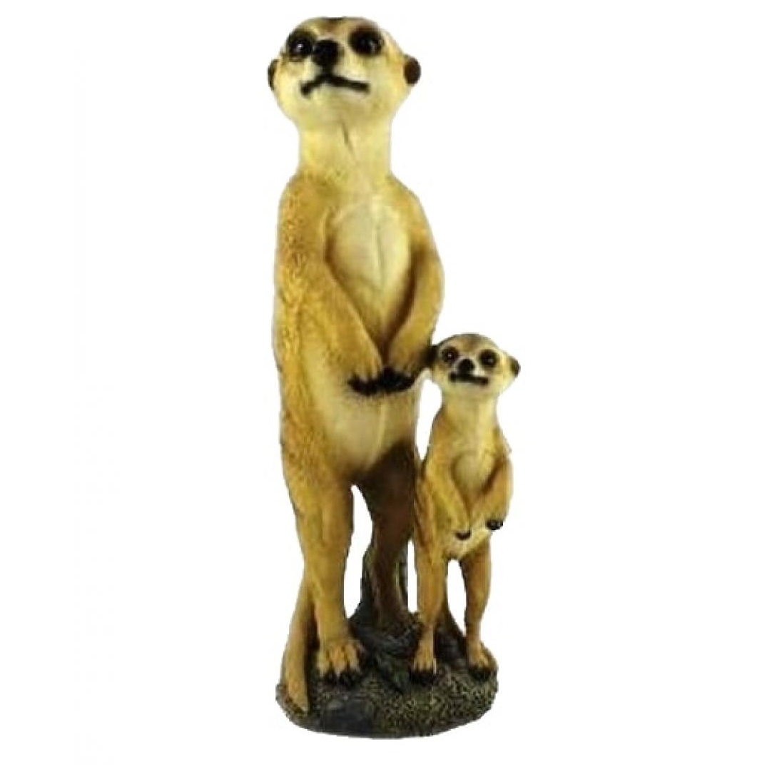 Father and Son Meerkat