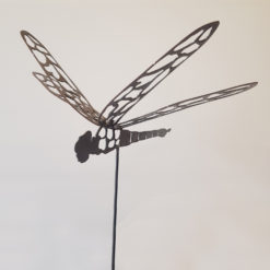 Dragonfly on Spike