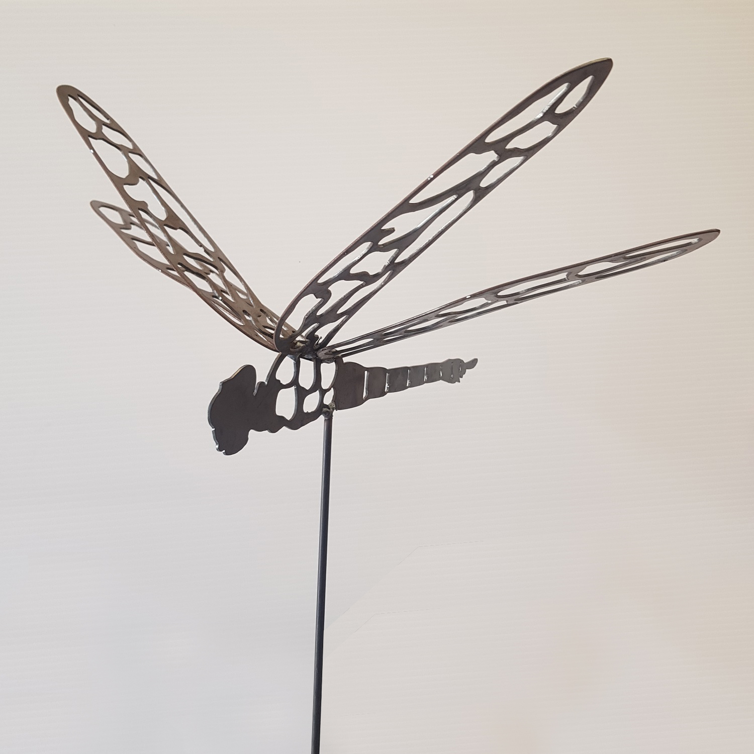 Dragonfly on Spike