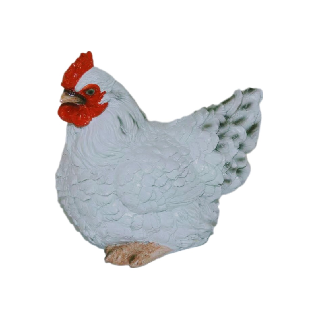 White Sitting Hen