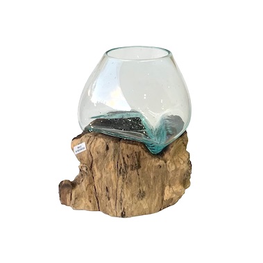 Unique Glass Bowl/Terrarium On Natural Driftwood Medium