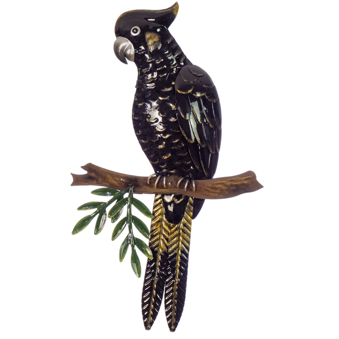 Black Cockatoo Perched on Branch