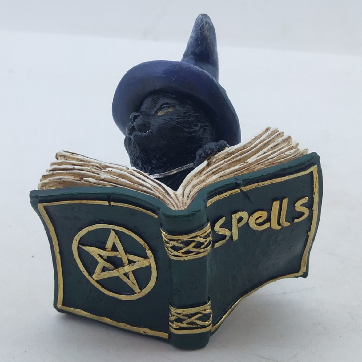 Black Cat Reading Spell Book