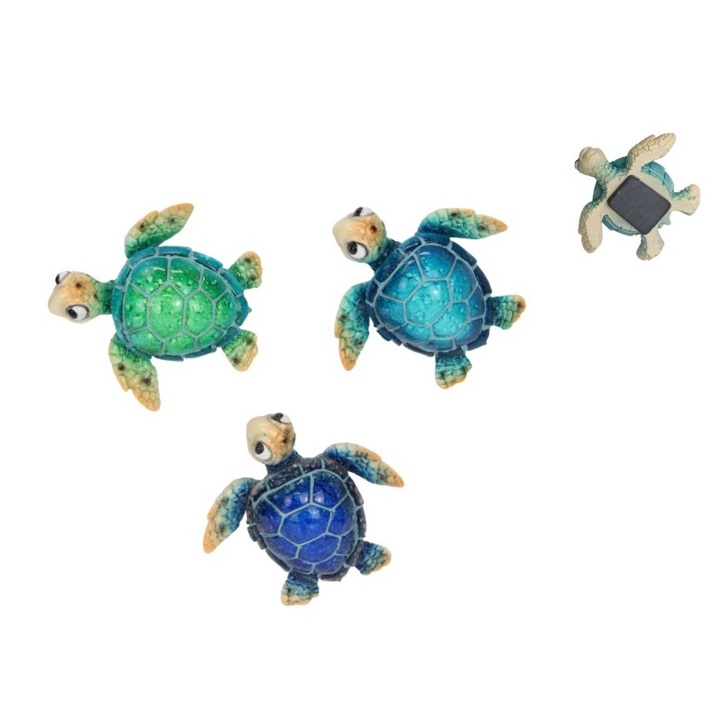 Turtle Magnet