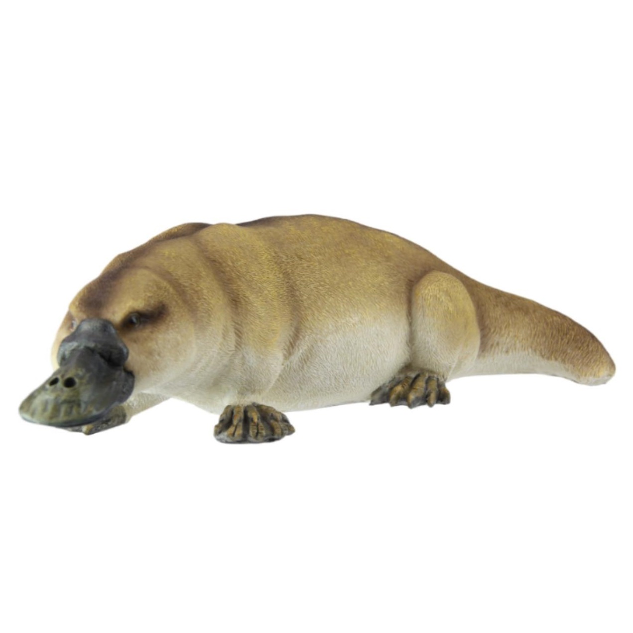 Platypus