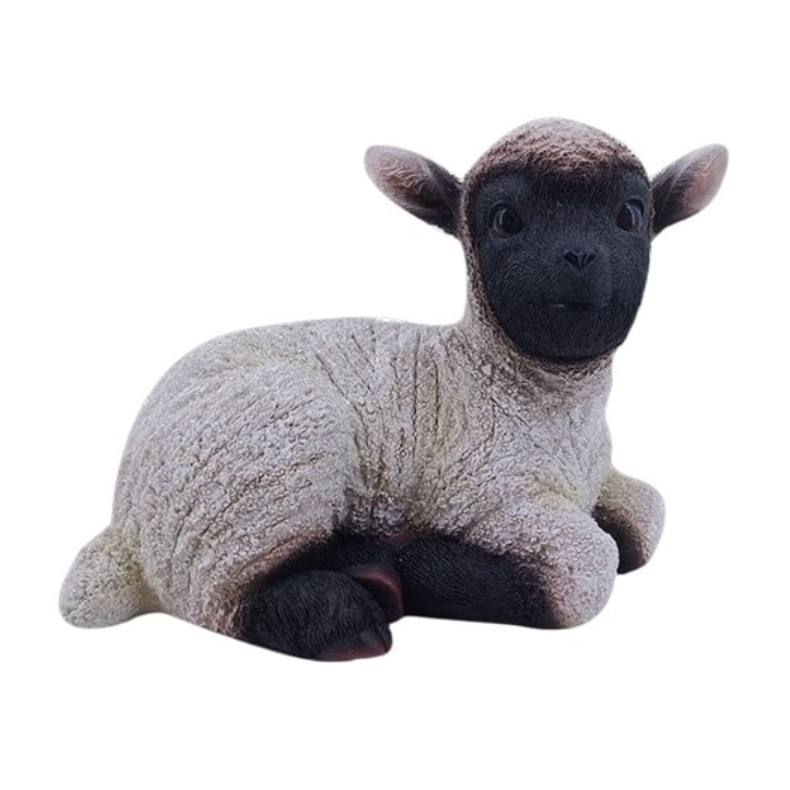 Black Face Lamb