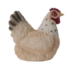Sitting White Hen