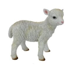 Standing Lamb