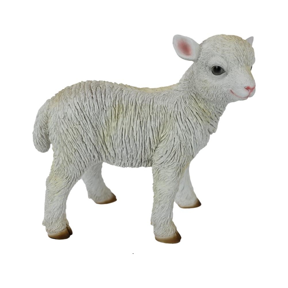 Standing Lamb