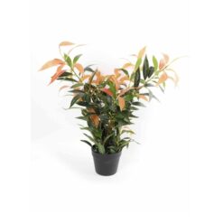 Protinia Artificial Plant