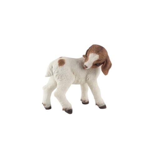 Cute Standing Goat