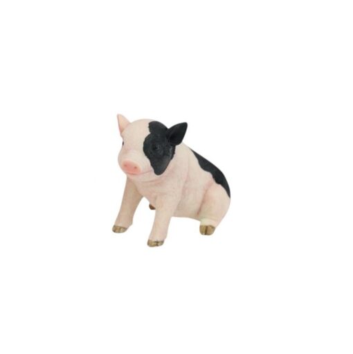 Cute Pigs