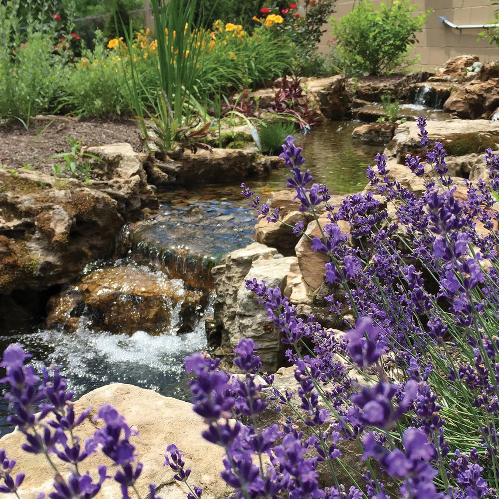 Oase FilterFalls 30000