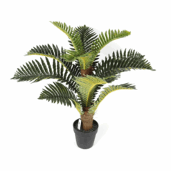 Palm Artificial in Black Pot