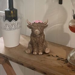 Highland Cow Sitting
