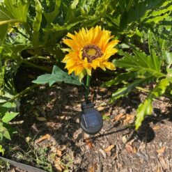 Solar Sunflower Light