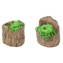 Green Tree Frog in Hollow Log