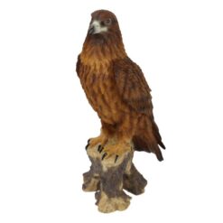 Perched Eagle on Stump