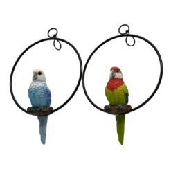 Rosella Bird in Ring